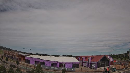 Progress for 21 November 2025